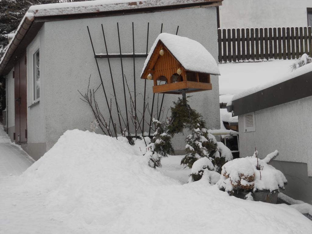 Ferienhaus Zittau Oberlausitz & Ferienwohnung Am Hamann Berg Εξωτερικό φωτογραφία