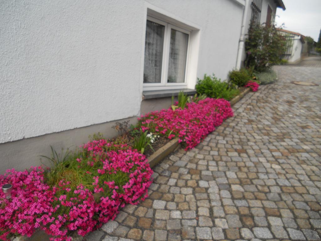 Ferienhaus Zittau Oberlausitz & Ferienwohnung Am Hamann Berg Εξωτερικό φωτογραφία