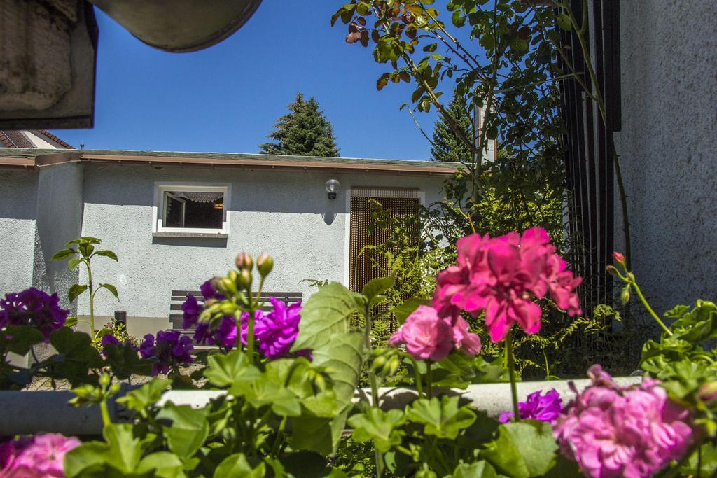 Ferienhaus Zittau Oberlausitz & Ferienwohnung Am Hamann Berg Εξωτερικό φωτογραφία